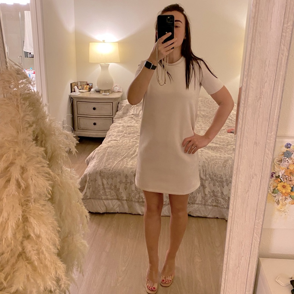 Zara faux suede mini dress
